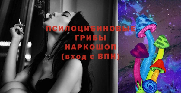 ПСИЛОЦИБИНОВЫЕ ГРИБЫ Алзамай