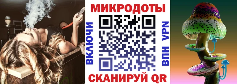 Псилоцибиновые грибы Cubensis  Нурлат 